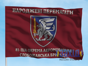 Прапор 81-ша окрема аеромобільна бригада. 81 ОАеМБр. Дизайн Б, Односторонній, 80*120 см pb81oaembr-b-1s80x120 фото